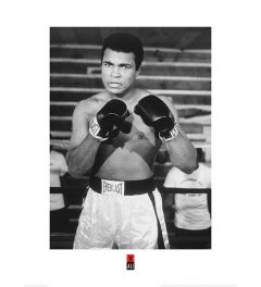 Muhammad Ali Pose Art Print 60x80cm