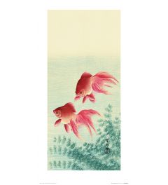 Ohara Koson Two Veil Goldfish Art Print 30x60cm