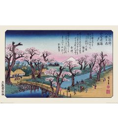 Hiroshige Mount Fuji Koganei-brug Poster 61x91.5cm